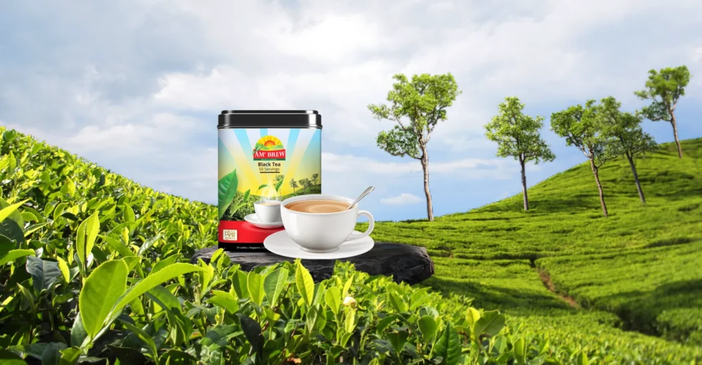 AM'brew tea pack in the garden